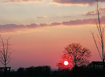 Sonnenuntergang - Ihre Sterbeamme